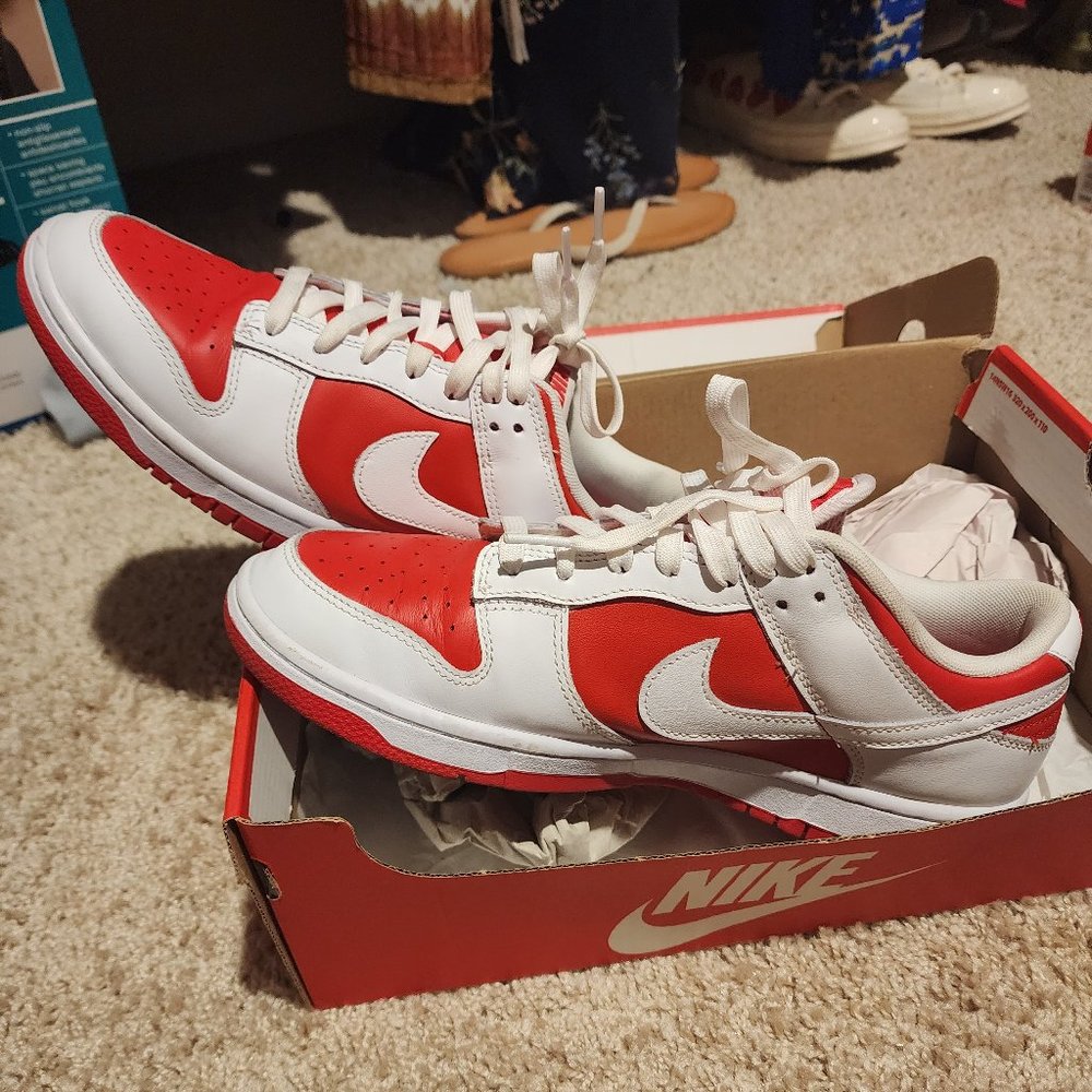 Nike dunk low championship sneakers